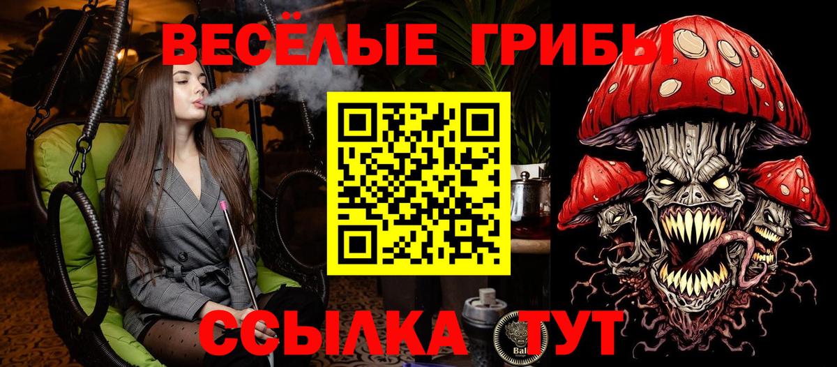 Галлюциногенные грибы прущие грибы Усолье-Сибирское